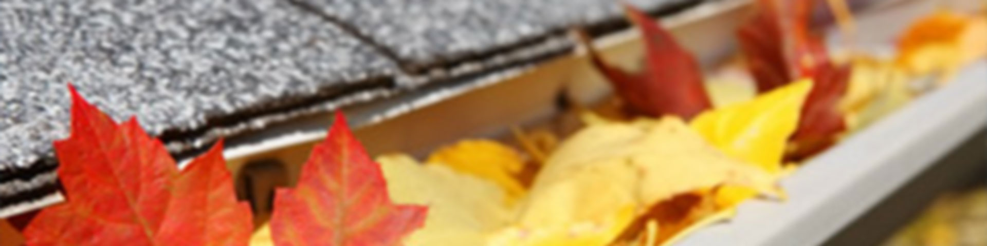 Uncleaned gutter filled with leaves. Gutter cleaning services in Swindon, United Kingdom